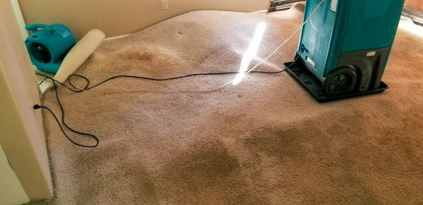 Carpet Water Extraction in Hesperia