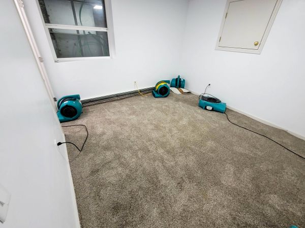 Flood Restoration Service in Hesperia